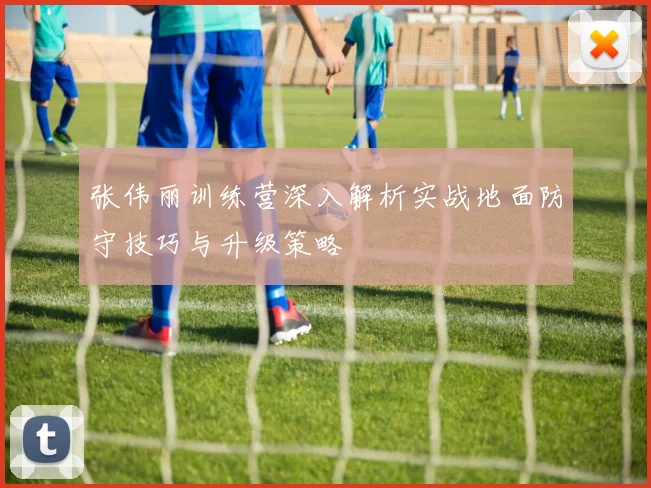 张伟丽训练营深入解析实战地面防守技巧与升级策略