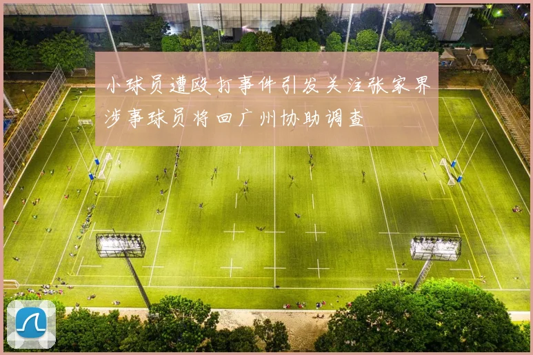 小球员遭殴打事件引发关注张家界涉事球员将回广州协助调查